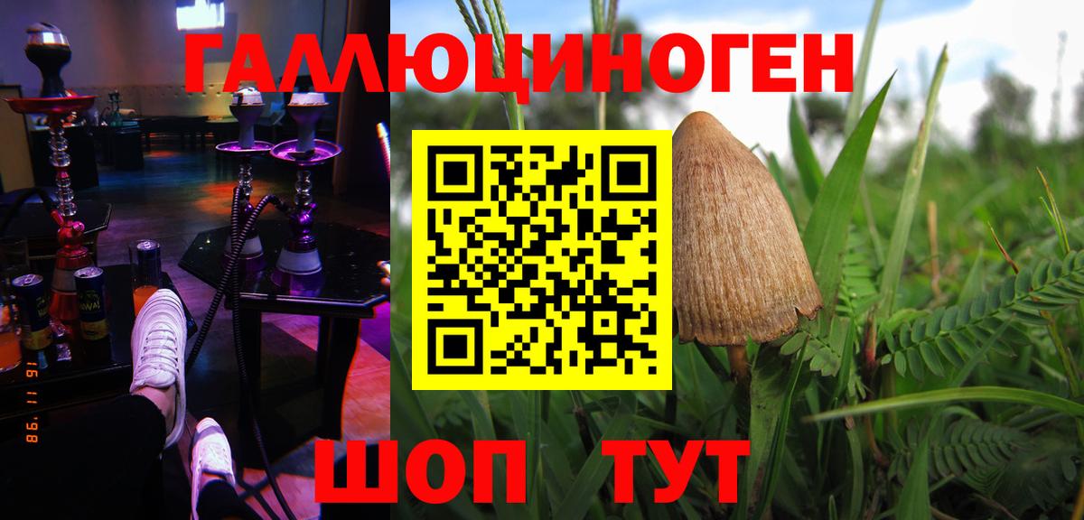 Псилоцибиновые грибы Psilocybine cubensis  Вход с VPN  Морозовск 